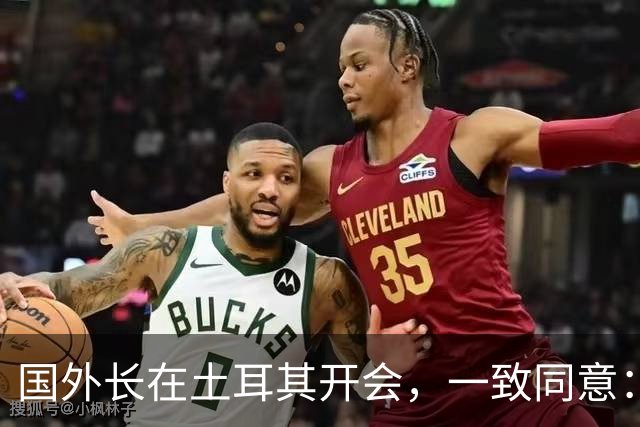 国外长在土耳其开会，一致同意：立即停战！
