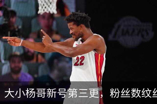 大小杨哥新号第三更，粉丝数纹丝不动