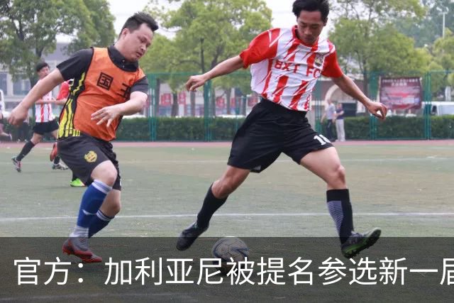 官方：加利亚尼被提名参选新一届意大利足协主席