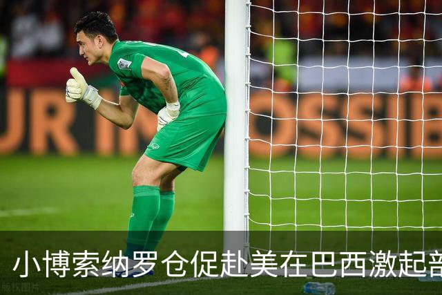 小博索纳罗仓促赴美在巴西激起部分民众愤慨