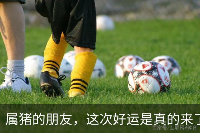 属猪的朋友，这次好运是真的来了