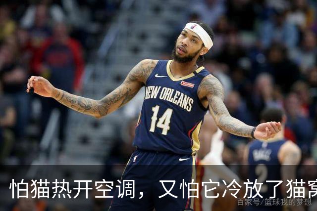 怕猫热开空调，又怕它冷放了猫窝，结果一看监控，绝了！