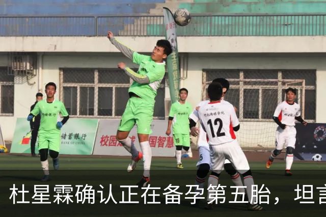 杜星霖确认正在备孕第五胎，坦言就算张纪中没钱也会和他在一起