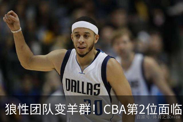 狼性团队变羊群！CBA第2位面临下课主帅曝光，发布会怒喷70%球员不在线，却说自己问心无愧！评论区一边倒