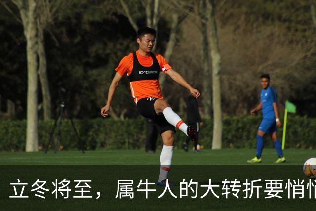 立冬将至，属牛人的大转折要悄悄发生了，第3件你绝对没料到