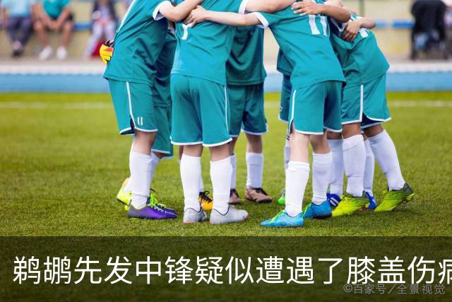 鹈鹕先发中锋疑似遭遇了膝盖伤病他可能需要长期缺阵？